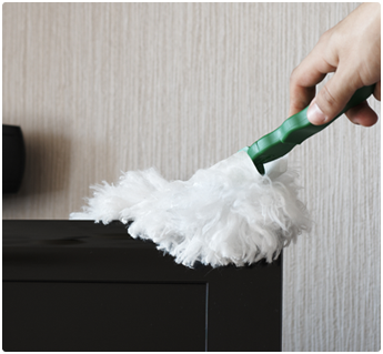 Dust Cleaning Dust Cleaning