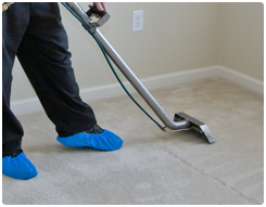 Carpet Cleaning